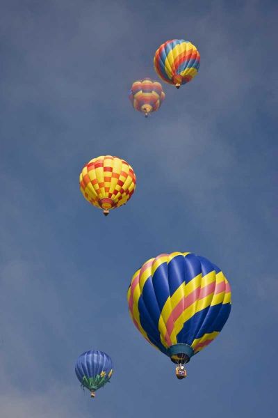 CO, Colorado Springs Hot air balloons in morning